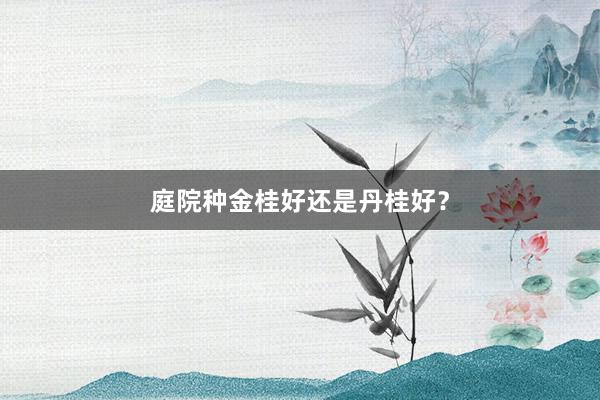 庭院种金桂好还是丹桂好?
